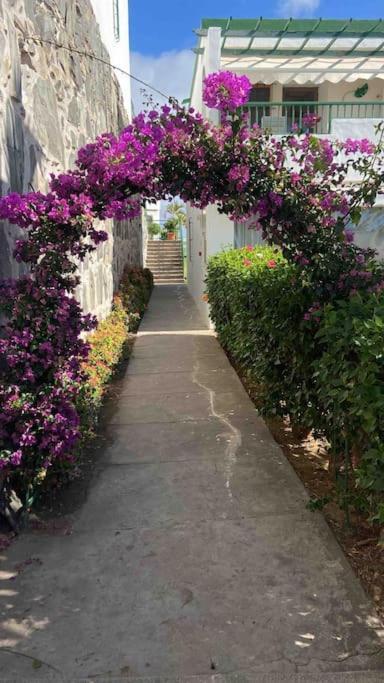 San Bartolomé Apartamento Vista Mar En Flamboyan - San Agustin מראה חיצוני תמונה